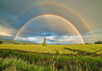 DOUBLE RAINBOW GEMS