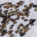 Small stones on a white background with a coin for scale